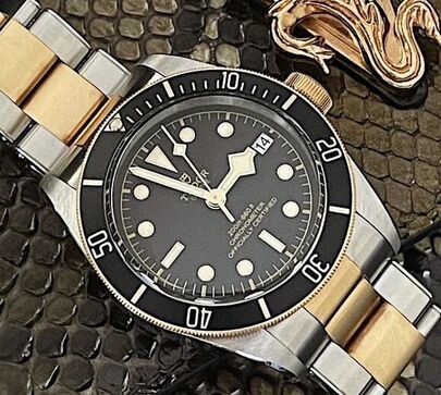 Tudor Black Bay S&G